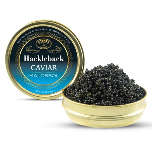Vista 11 de Envío nocturno – Olma American Hackleback Sturgeon Black Caviar – Perlas de grano medio, grado superior, 1 oz / 28 g Dark glossy gray pearls with