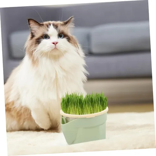 Vista 7 de Mipcase Plantas de interior Gato Hierba Taza Hidropónica Plantas Hidropónicas Plantas Hidropónicas Gato Plantador Plantador Mascotas Hierba