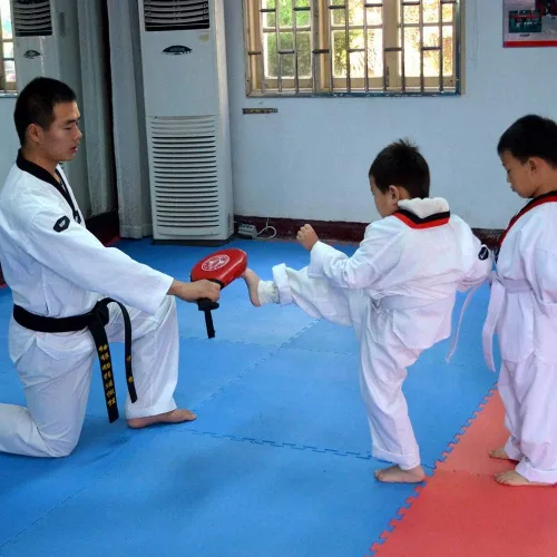 Vista 7 de Estink Taekwondo Kick Pad, 1 almohadilla duradera para kickboxing y karateing