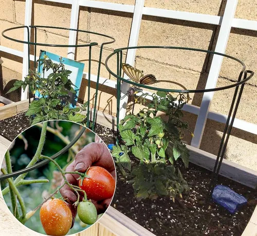 Vista 7 de TCBWFY Paquete de 10 estacas de soporte para plantas de jardín, 10 pulgadas de ancho, 16 de alta resistencia, entrelazadas, semicirculadas