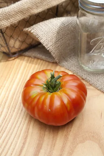 Vista 2 de Pantano Romanesco Heirloom - Paquete de semillas prémium de tomate + más