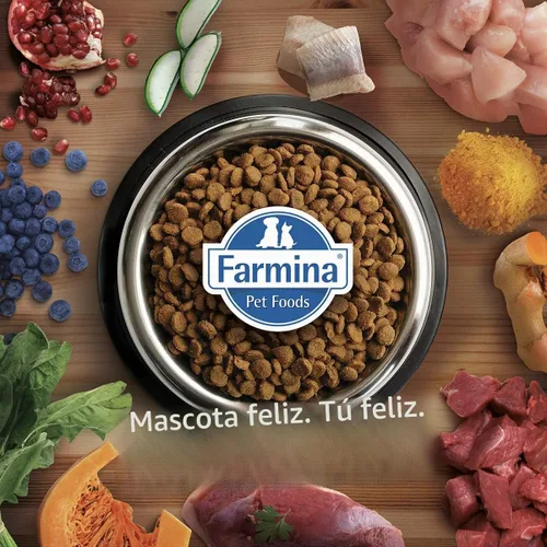 Vista 6 de Farmina, Perro de pollo de bajo grano natural y delicioso, 26.4 libras, mediano