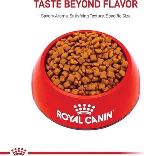 Vista 10 de ROYAL CANIN Feline Health Nutrition - Alimento seco para gatos, bolsa de 3 libras Tailored For Growing Kittens, Supports Immune System, Promotes