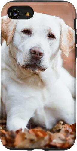 Vista 18 de Labrador Retriever Dog Lover - Carcasa para iPhone 17