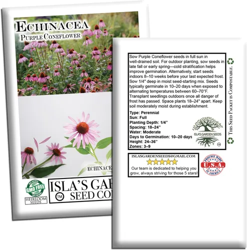 Vista 7 de Semillas de flores de equinácea púrpura de equinácea para plantar, más de 750 semillas de flores por paquete, semillas de jardín de Isla