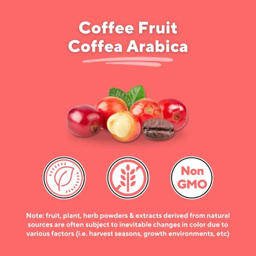Vista 5 de Vitacoffee Píldoras de cafeína – Fruta de café, vitamina C, vitamina D, gluconato de zinc – Energía, memoria, enfoque, antioxidante, soporte