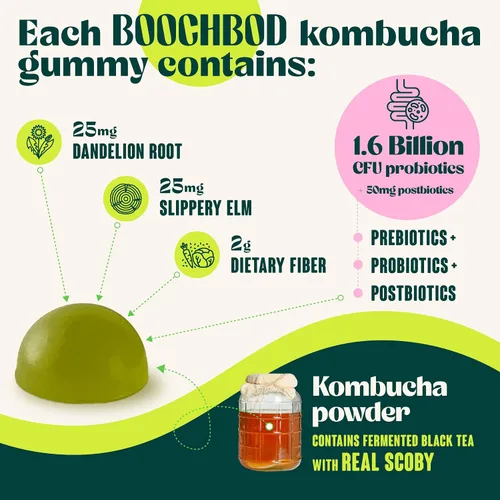 Vista 4 de BoochBod - Gomitas probióticas de kombucha - Prebióticos, probióticos, postbióticos, suplemento de fibra, olmo resbaladizo, raíz de diente de león