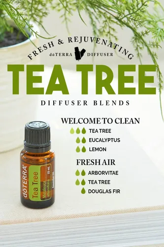 Vista 4 de do TERRA Aceite esencial de melaleuca 0.5 fl oz (2 unidades)