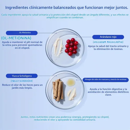 Vista 6 de Masticables para quemar hierbas, neutralizador de orina de perro y protector de césped