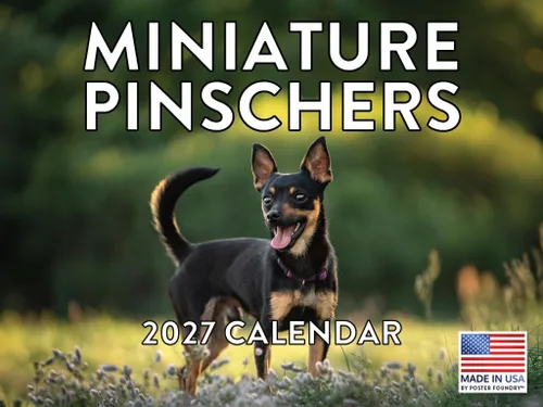 Vista 74 de Calendario mensual de pared Airedale Terrier Dog 2027