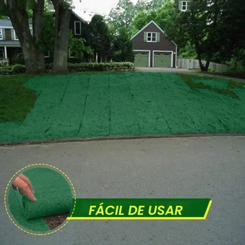 Vista 7 de Rollo de tapete de semillas de césped, tapete biodegradable para semillas de césped, manta de germinación de semillas de césped para cultivo