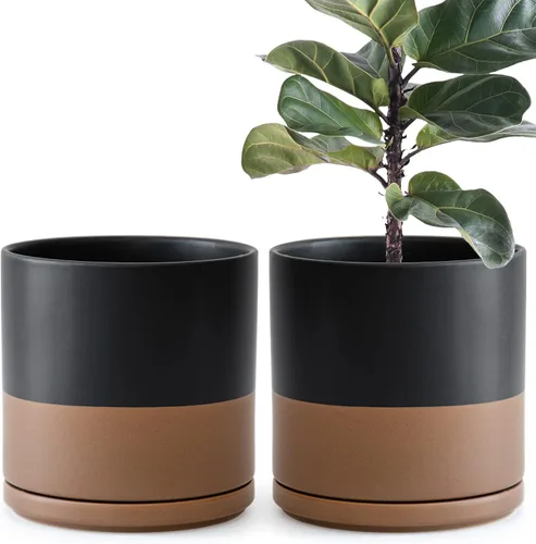 Vista 26 de D'vine Dev - Juego de 2 macetas de plantas de 3.5 pulgadas, maceta de cerámica para plantas con agujero de drenaje y platillo, negra, 94-V-A-2