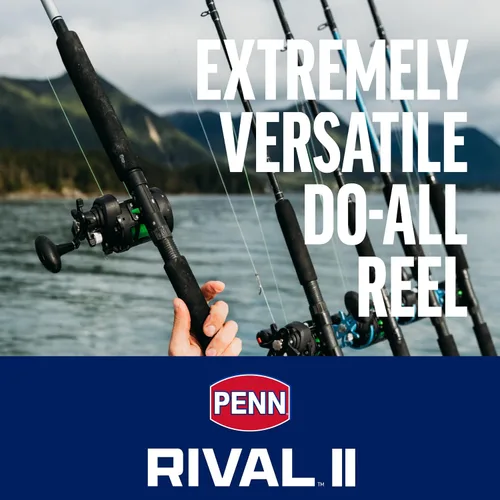 Vista 3 de Penn Rival II Level Wind Conventional Rod and Reel Combo