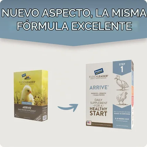 Vista 3 de FlockLeader Arrive, Suplemento diario de aves de corral para pollitos bebés de 0 a 8 semanas, 8 onzas
