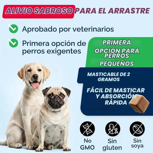Vista 3 de STRELLALAB Masticables de apoyo de la glándula anal - Tratamiento Scoot Soporte de glándula anal