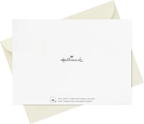 Vista 6 de Hallmark - Surtido de tarjetas de agradecimiento, lámina dorada sólida (24 notas de agradecimiento con sobres)