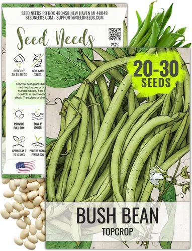 Vista 12 de Seed Needs Semillas de Frijol Lima para Plantar Frijoles Henderson Lima - Semillas de Vegetales Heirloom Sin OMG y Sin Tratar para Plantar un Jardín