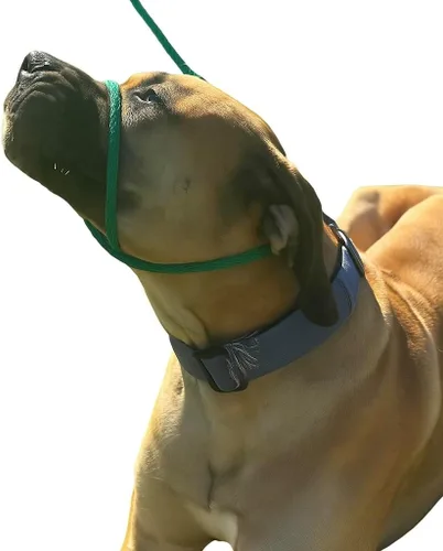 Vista 7 de Not So Fast Rover - Collar para la cabeza de perro sin tirones, talla única, de primera calidad, corrige los tirones de tu perro para paseos más
