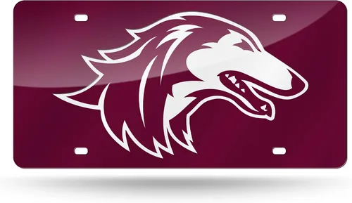 Vista 172 de Rico Industries Placa de matrícula de metal con incrustaciones láser de Florida Gators de la NCAA