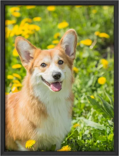 Vista 10 de NWT - Fotografía personalizada sobre lienzo con diseño de mascota y animal