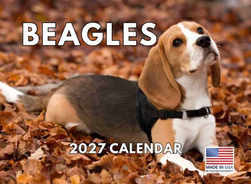 Vista 133 de Calendario mensual de pared Airedale Terrier Dog 2027