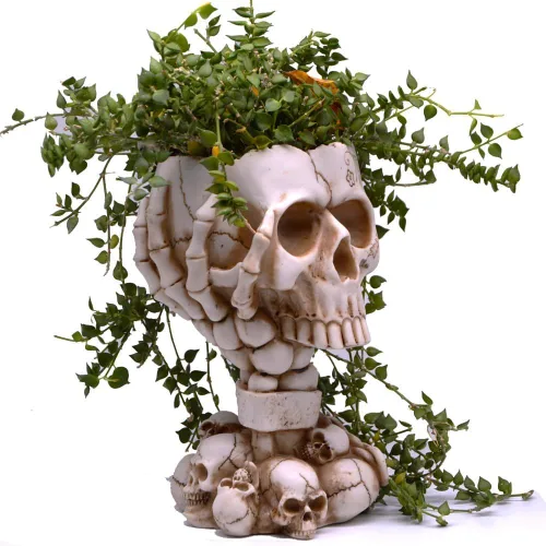 Vista 10 de Maceta LovTocTic de Cráneo, Macetas Góticas para Decoraciones de Halloween Plantas de Interior/Exterior, Macetas de Flores Góticas, Macetas