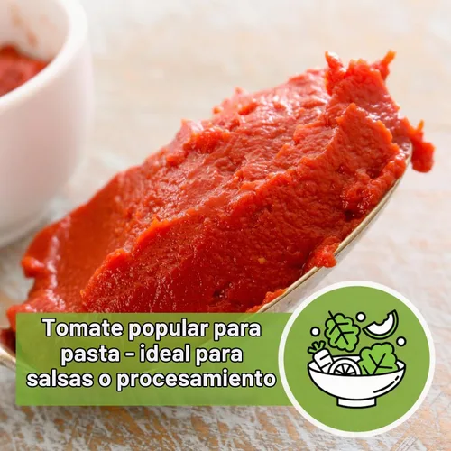 Vista 10 de Sow Right Seeds - Pasta Amish Semilla de tomate para plantar tomates