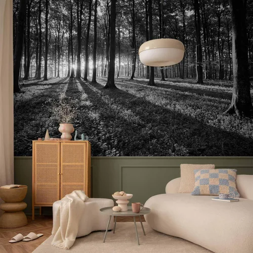 Vista 78 de artgeist Mural de pared premium Bosque púrpura, 79 x 55 pulgadas, papel tapiz no tejido, decoración de pared de vellón, impresión fotográfica