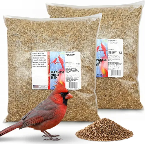 Vista 40 de Semillas de cáñamo Morning Bird, 4.5 lb