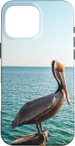 Vista 18 de iPhone 11 Pelican Case