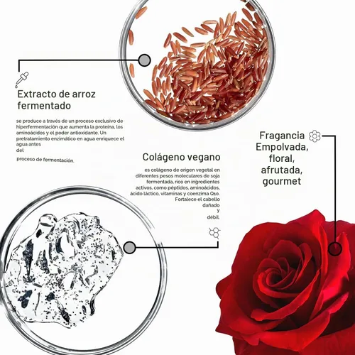 Vista 5 de Framesi Morphosis Restructure Shampoo - Champú reconstructor para cabello dañado - Champú sin sulfato - Ayuda a reparar y revivir para apoyar un