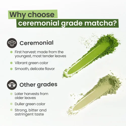 Vista 3 de PureChimp Polvo de matcha de grado ceremonial, 1.75 onzas. Té japonés puro de grado ceremonial matcha cultivado en sombra en Kagoshima. Polvo de té