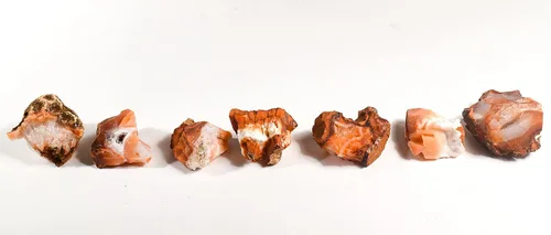 Vista 8 de HQRP Ágata cornalina naranja roja piedras ásperas de cristal natural Cabujones de piedras preciosas minerales Cabujones de muestras de roca