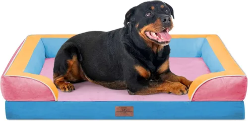 Vista 177 de Comfort Expression - Cama ortopédica para perros medianos, 28 x 19 pulgadas, cama impermeable y de apoyo de espuma con cojines removibles, sofá