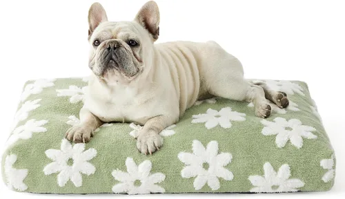 Vista 20 de LE SURE - Bonita almohada estética para mascotas, tamaño mediano, diseño jacquard grueso para mascotas, 30 x 20 pulgadas