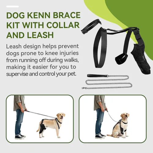 Vista 4 de Rodillera de perro para pierna trasera, soporte ajustable para piernas de perro para desgarro de ACL, soporte de pierna trasera, estabilidad