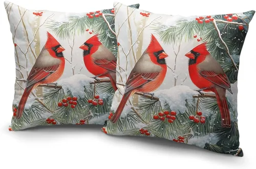 Vista 188 de Juego de 2 fundas de almohada de 16 x 16 pulgadas, diseño patriótico de bandera estadounidense con estrellas para exteriores, estilo casa de campo