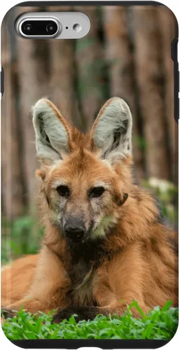 Vista 12 de Funda para iPhone 13 Pro Max Maned Wolf