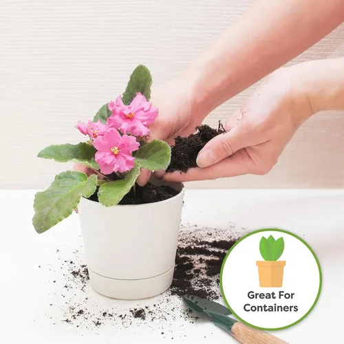 Vista 3 de Perfect Plants Sustrato para macetas de violeta africana de 2 cuartos Mezcla de plantas orgánicas perfectamente elaboradas para violetas