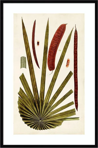 Vista 15 de Amanti Art Vision Studio - Lienzo decorativo para pared, 24 x 17 pulgadas, variedades de hojas VI por Vision Studio, arte de pared de naturaleza
