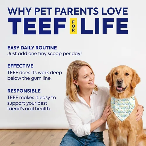 Vista 5 de TEEF FOR LIFE Protektin42K Kit de polvo dental prebiótico para gatos