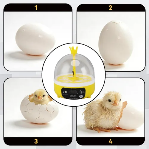 Vista 5 de Mini incubadora de huevos, incubadora de 4 huevos, máquina para eclosionar el hogar, control automático de temperatura y humedad para granja, aula