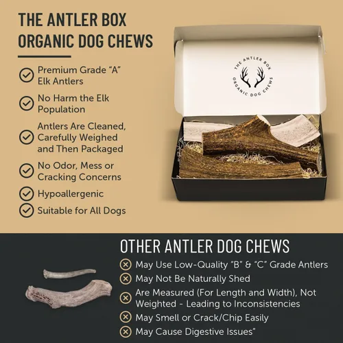 Vista 5 de The Antler Box Masticables Premium de Astas de Alce para Perros (Caja de 1 Libra) (Pequeño (7-8 Piezas) Enteras/Partidas Mezcladas)
