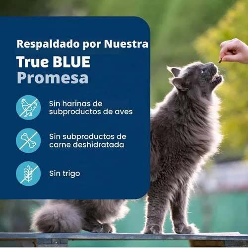 Vista 8 de Blue Buffalo - Premios crujientes Bursts para gatos, de pollo, tarro de 340,1 g