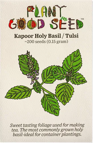 Vista 6 de Plant Good Seed Colección de semillas orgánicas de albahaca sagrada Tulsi, 3 paquetes/200 semillas cada una, semillas tradicionales de Kapoor, Rama
