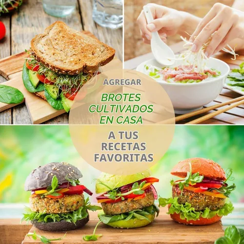 Vista 7 de Handy Pantry Surtidos de semillas orgánicas para germinar – Microgreens, paquete variado de semillas de brotes (paquete de 12 – premedidas)