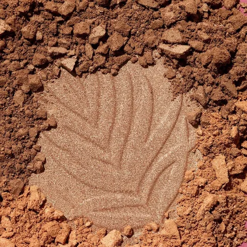 Vista 10 de wet n wild - Polvo bronceador «Color Icon» Boleto a Brasil
