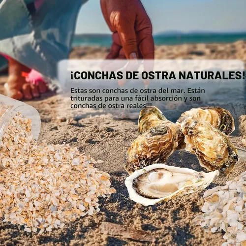 Vista 3 de QEQEKAKA - Conchas de ostras trituradas de aproximadamente 2 libras