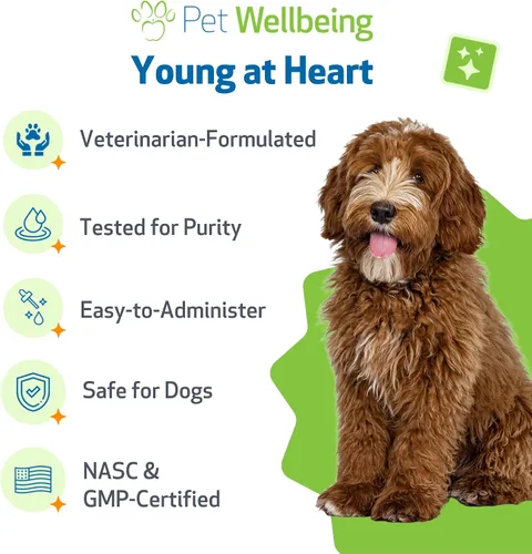 Vista 5 de Pet Wellbeing Young at Heart para perros - Apoyo a la salud cardíaca para personas mayores, bienestar cardiovascular con espino y agripalma