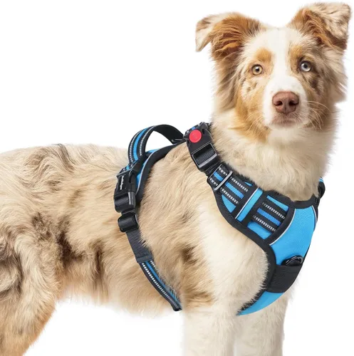 Vista 78 de Rabbitgoo - Arnés para perro de tamaño pequeño, actualizado, fácil de poner y quitar con 3 hebillas Sin tirones, sin estrangulamiento, caminar